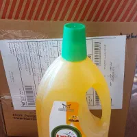 وایتکس گیاهی|مواد شوینده و دستمال کاغذی|جویبار, |دیوار