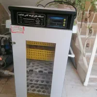 دستگاه جوجه کشی هدایت 210