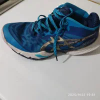 کفش والیبال|کیف، کفش، کمربند|کلاله, |دیوار