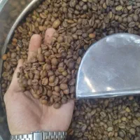 پخش جزئی و عمده دان قهوه
