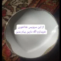 سرویس پذیرایی توس چینی