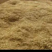 کاه لوبیا
