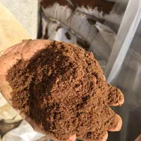 پودرگوشت مرغی