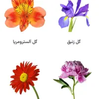 دوره ۲ ماهه گل آرایی با تخفیف ۳ میلیونی اصفهان|خدمات آموزشی|خمینی‌شهر, |دیوار