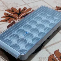 جاتخم مرغی سالم وتمیز