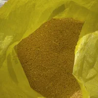 گندم امسال تازه زدم گندم تمیز هست