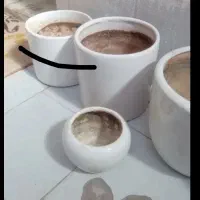 گلدان سرامیکی