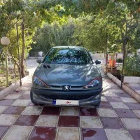 206 تیپ ۳ فرانسوی کم کار استثنایی