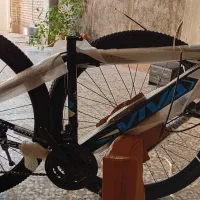 دوچرخه ویوا|دوچرخه، اسکیت، اسکوتر|گنبد کاووس, |دیوار