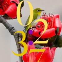 گوشی موبایل|موبایل|کرج, اکبرآباد|دیوار