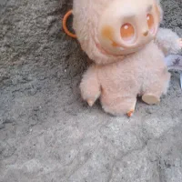 لبوبو|اسباب‌‌بازی|کوهدشت, |دیوار