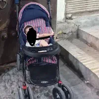 کالسکه نو و مرتب