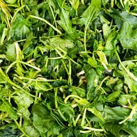 سبزی مارکت(عمده فروشی)|خوردنی و آشامیدنی|شیراز, میانرود|دیوار