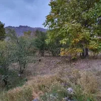 خانه-باغ-در-قمصر-با-درختان-میوه-و-محیط-دنج