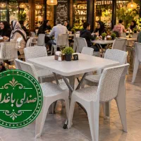 صندلی پلاستیکی رستوران غذاخوری مدل ماه ۹۴۷ باغدان