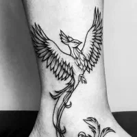 تتو|خدمات آرایشگری و زیبایی|هشتگرد, فاز ۷ مهستان|دیوار