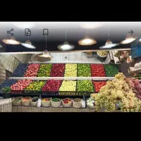 سکوی تنظیم بازار میوه تروبار  داراب