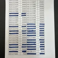 سیمکارت ۰۹۱۹ / نیمه رند|سیم‌کارت|تهران, ولنجک|دیوار