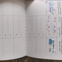 سگ پامر 3ماهه رنگ کاراملی بسیار بازیگوش|سگ|ورامین, ورامین|دیوار