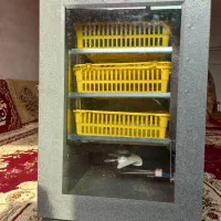 دستگاه جوجه کشی