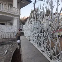 حفاظ شاخ گوزنی سهیلیه تهراندشت هشتگرد کرج|خدمات پیشه و مهارت|هشتگرد, هشتگرد قدیم|دیوار