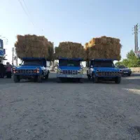 * باربری وحمل بار*نیسان و انواع خودرو*|خدمات حمل و نقل|جم, |دیوار