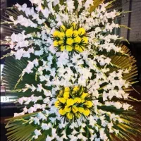 گل   طبیعی متن پایین بخون