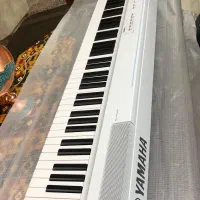 پیانو پرتابل p225 white|پیانو، کیبورد، آکاردئون|کرج, عظیمیه|دیوار