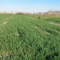 7000-متر-زمین-کشاورزی