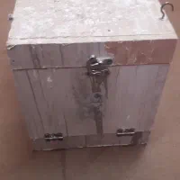 لونه طوطی  وعروس هلندی اصل فابریک