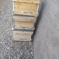 کندو زنبور عسل نو