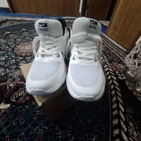 کفش|کیف، کفش، کمربند|سنقر, |دیوار