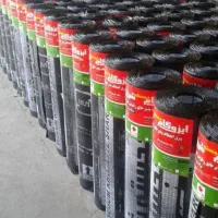 ایزوگان وقیر گونی