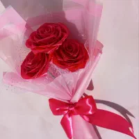 رز روبانی|گل و گیاه طبیعی|چناران, |دیوار