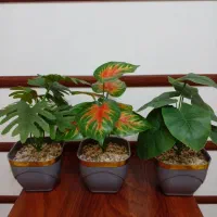 گل مصنوعی، گلدان، تزیینی، گیاه باکسی