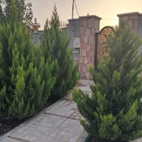 سم پاشی منزل و باغ درخت