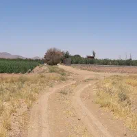 زمین کشاورزی و مجوز برای دامداری مرغداری  گلخانه