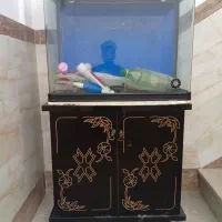 آکواریوم شیشه خم