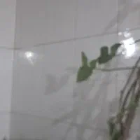 اکیپ کار حرفه ای