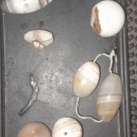 مهره برد قدیمی|زیورآلات و اکسسوری|دهدشت, |دیوار