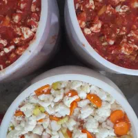 ترشی آب گوجه ، ترشی لیته بادمجان شکم پر ترشی شوری