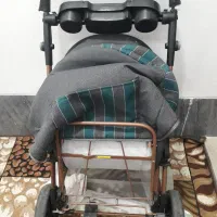 کالسکه دلیجان مدل بنیتا