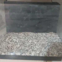 آکواریوم.بخاری