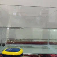 اکواریوم|ماهی|شیراز, دلجو|دیوار