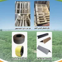 تهیه انواع محصولات سورت و بسته بندی