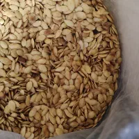 10 کیلو تخمه کدو
