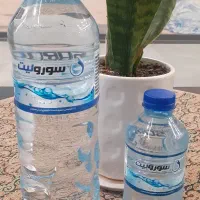 شرکت آب آشامیدنی سورولیت