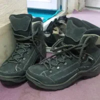 پوتین کورتکس