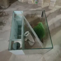 فروش اکواریوم|ماهی|محمدشهر, شهرک چمران|دیوار