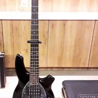گیتار بیس میوزیک‌من بانگو۵ Musicman bongo5 bass|گیتار، بیس، امپلیفایر|رشت, چله خانه|دیوار
